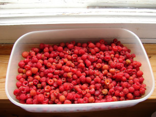 Картинка еда малина