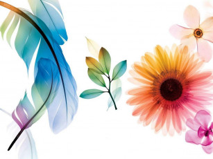 Картинка компьютеры adobe