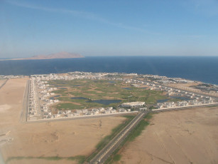 Картинка оазис города