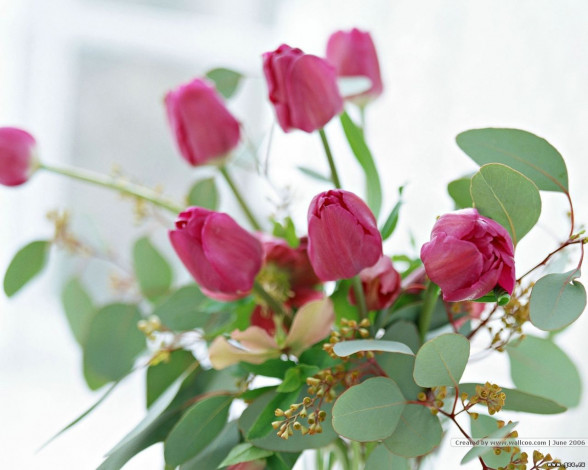 Обои картинки фото цветы, букеты, композиции