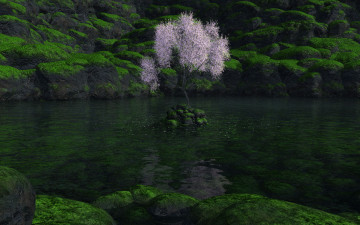 Картинка 3д графика nature landscape природа