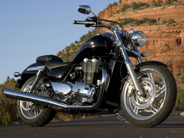 Обои картинки фото triumph, thunderbird, 2009, мотоциклы