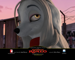 обоя уличный, ромео, мультфильмы, roadside, romeo