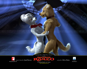 обоя уличный, ромео, мультфильмы, roadside, romeo