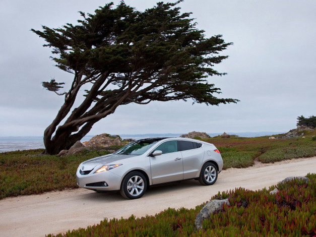 Обои картинки фото автомобили, acura