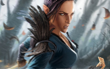 Картинка drakensang the river of time видео игры