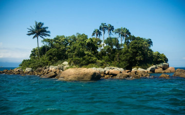 Картинка природа деревья