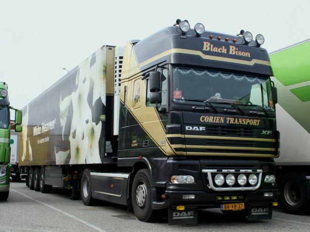 Обои картинки фото автомобили, daf