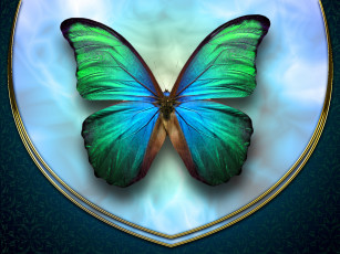 Картинка 3д графика animals животные бабочка