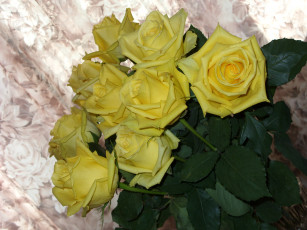 Картинка цветы розы букет желтые