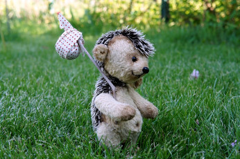 Картинка разное игрушки ёжик котомка