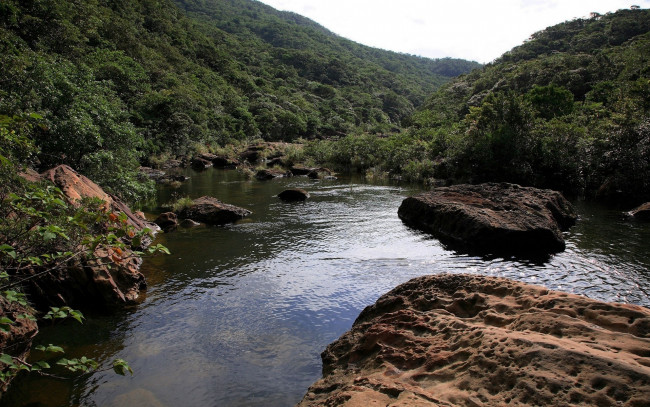 Обои картинки фото природа, реки, озера, река, лес