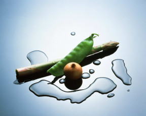 Картинка еда овощи лук