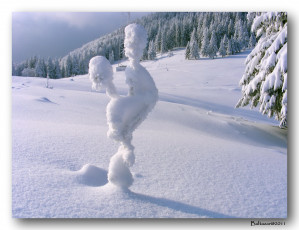 Картинка природа зима снег