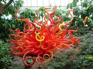 Картинка цветы оранжерея экзотика