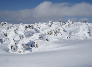 Картинка природа зима снег