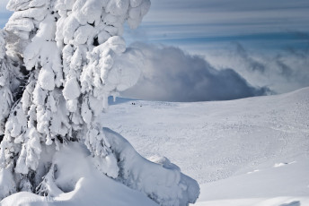 Картинка природа зима снег