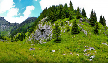 Картинка словения kobarid природа горы ели