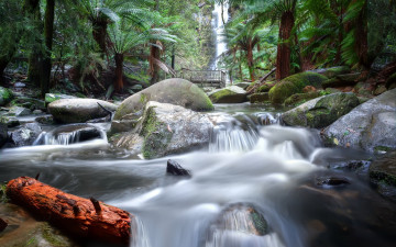 Картинка природа реки озера река мост