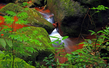 Картинка природа реки озера ручей мох камни