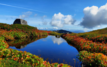 Картинка природа реки озера водоём