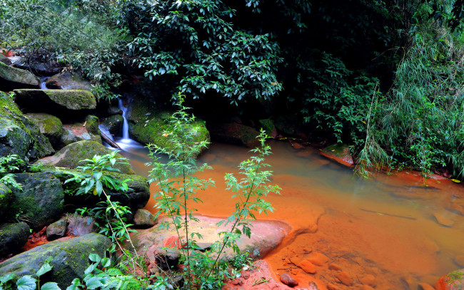 Обои картинки фото природа, реки, озера, камни, мох, ручей