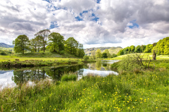 Картинка природа реки озера вода деревья луг трава