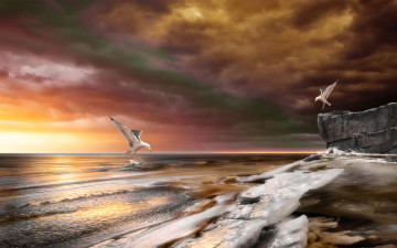 Картинка 3д графика sea undersea море чайки волны скалы океан