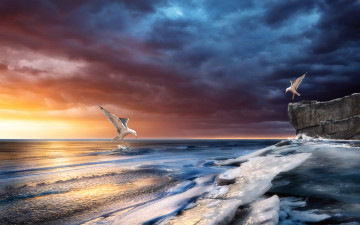 Картинка 3д графика sea undersea море скалы океан чайки волны