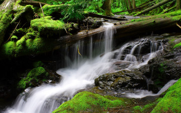 Картинка природа водопады мох камни бревна
