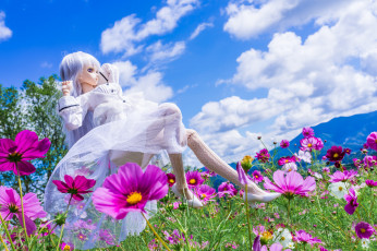 Картинка разное игрушки цветы игрушка кукла