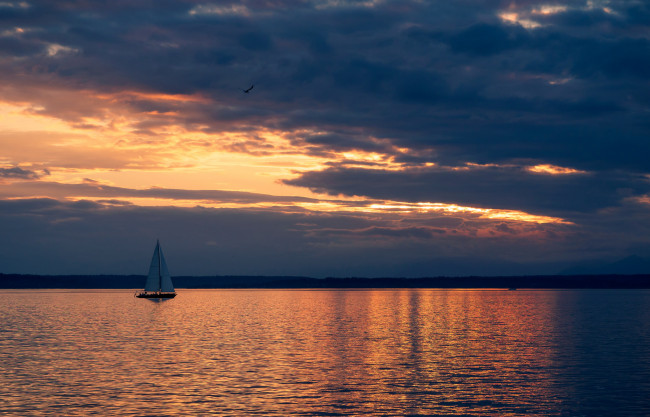 Обои картинки фото корабли, Яхты, море, закат, парус