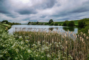 Картинка природа реки озера лес река