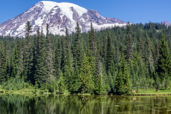 Картинка природа горы скалы