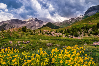 Картинка природа луга простор