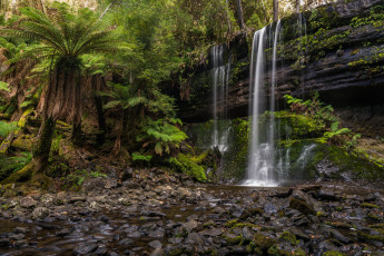 Картинка природа водопады лес водопад река