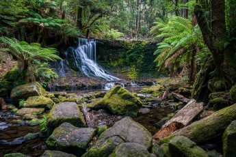 Картинка природа водопады лес водопад река