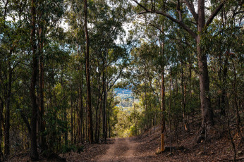 Картинка природа дороги тракт