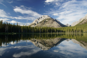 Картинка природа реки озера лес река