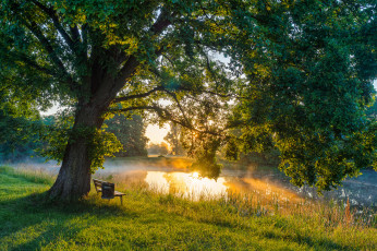 Картинка природа реки озера лес река