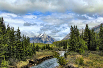 Картинка природа реки озера река лес