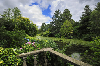 Картинка природа реки озера река лес