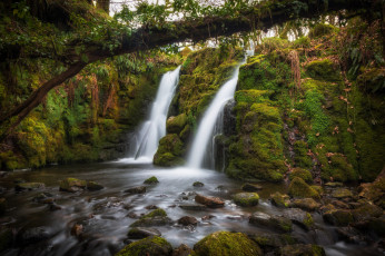 Картинка природа водопады лес река водопад