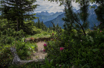 Картинка природа горы скалы