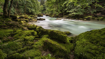 Картинка природа реки озера лес река