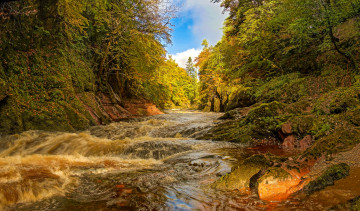 Картинка природа реки озера река лес