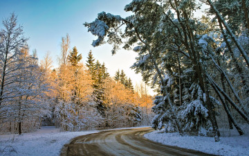 Картинка природа дороги тракт