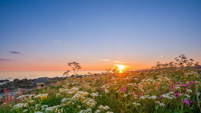 Обои картинки фото природа, восходы, закаты, рассвет