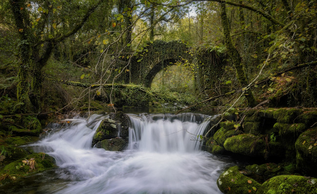 Обои картинки фото природа, водопады, река, лес, водопад