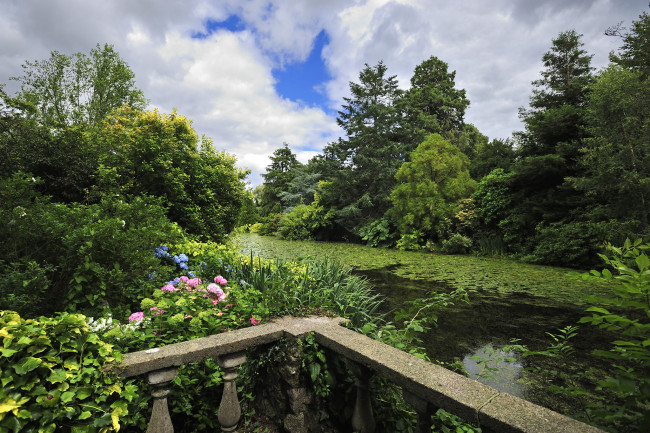 Обои картинки фото природа, реки, озера, река, лес